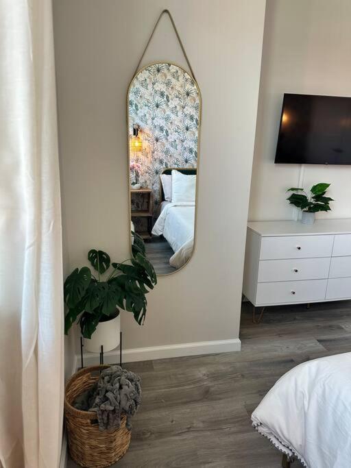 Home Haven, Walk To Little Italy & Wooster Square New Haven Εξωτερικό φωτογραφία
